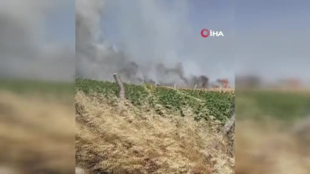 Silivri'de elektrik direği kesimi sırasında çıkan yangın ekili arazilere sıçradı
