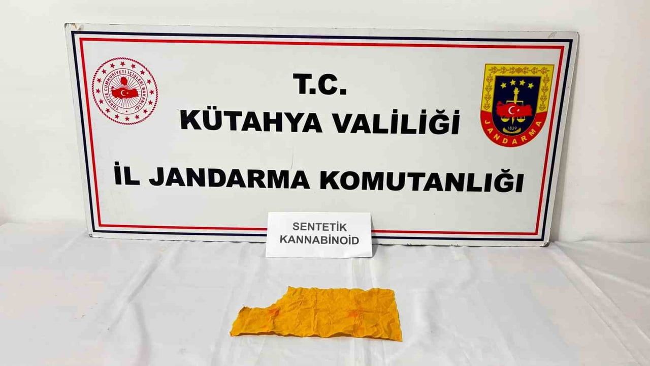 Simav’da jandarma operasyonunda yaklaşık bin 300 kullanımlık bonzai ele geçirildi