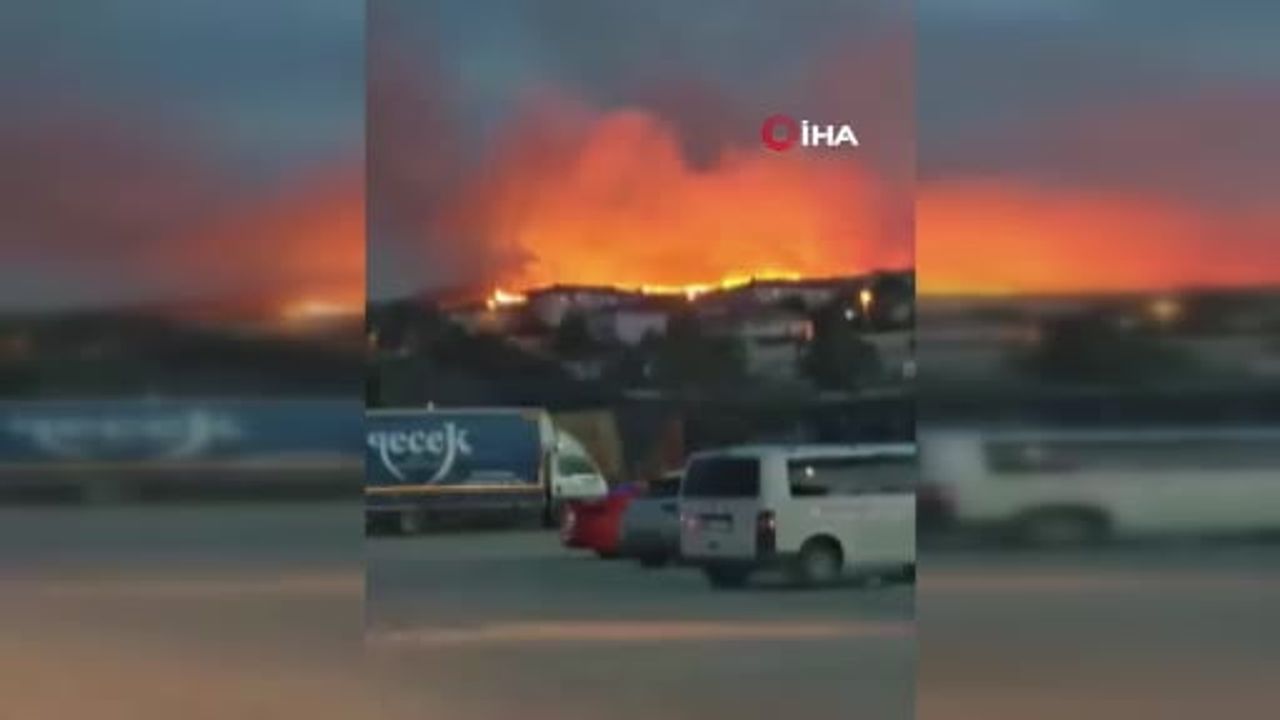 Sincan’da otluk alanda yangın