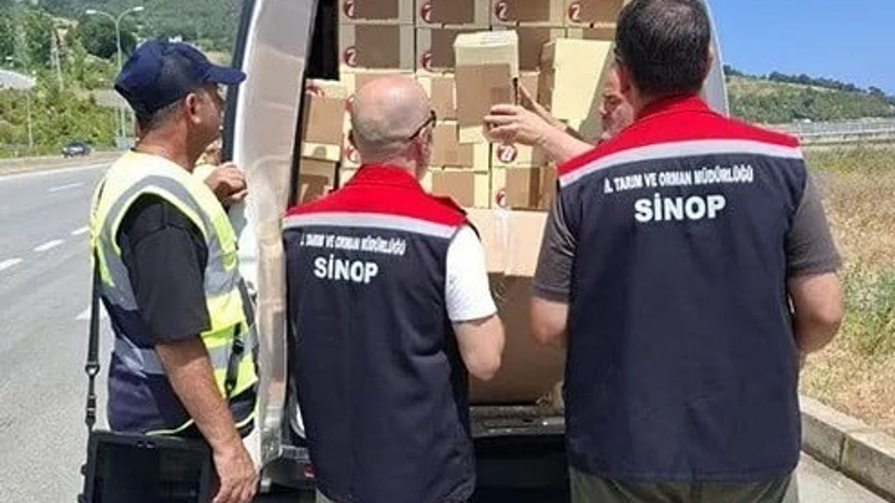 Sinop'ta gıda taşıyan araçlara yönelik yol denetimleri yoğunlaşıyor
