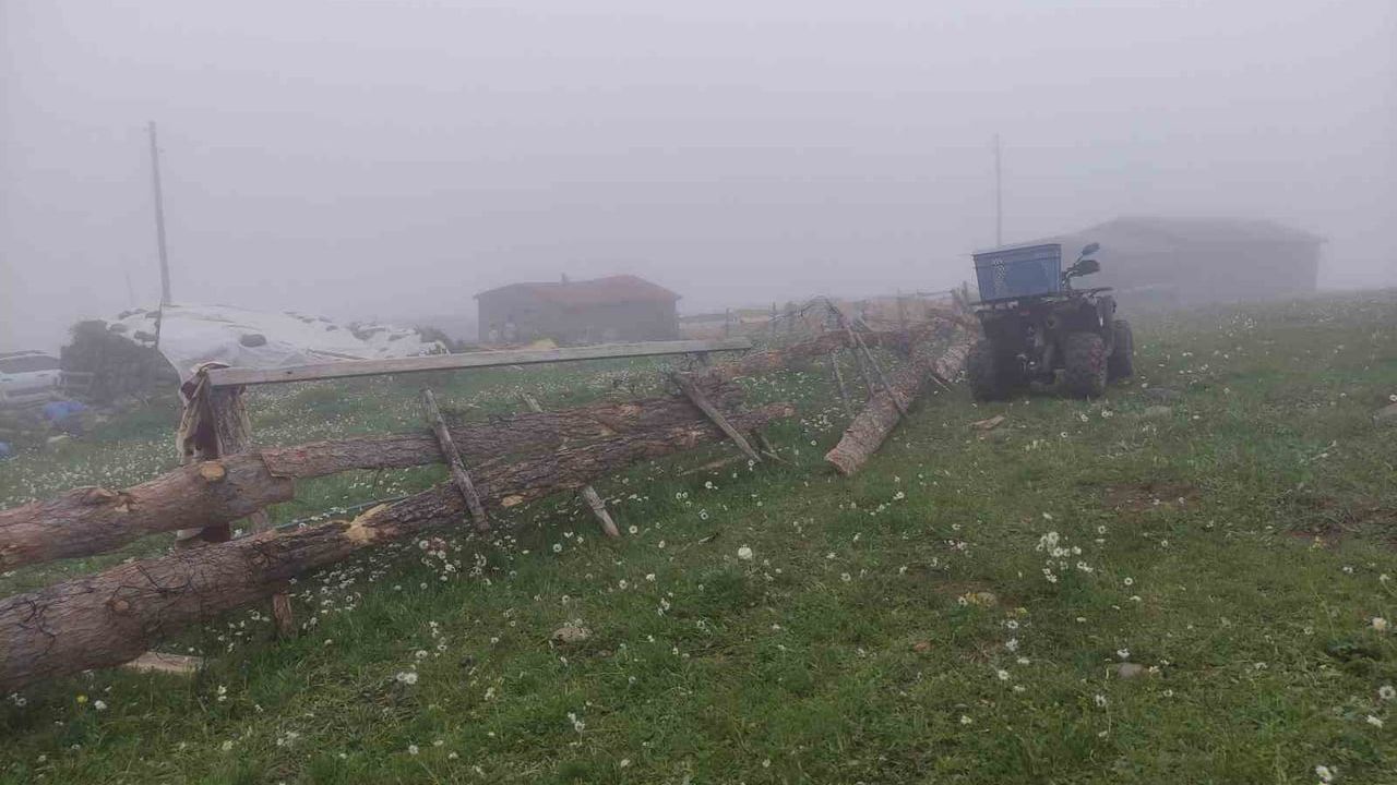 Sis perdesinde Bilbilan yaylasında atlar sahne aldı