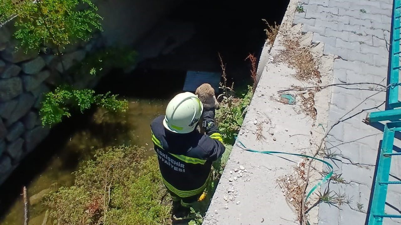 Sivrihisar'da su kanalına düşen yavru köpek itfaiye tarafından kurtarıldı