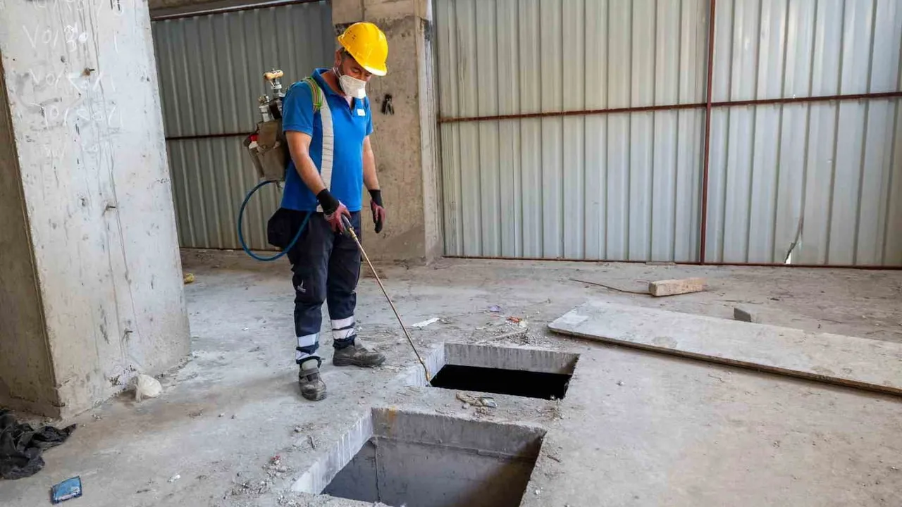 Sivrisineğe karşı görünmeyen cephe: İzmir'de inşaatlarda biyolojik larva mücadelesi