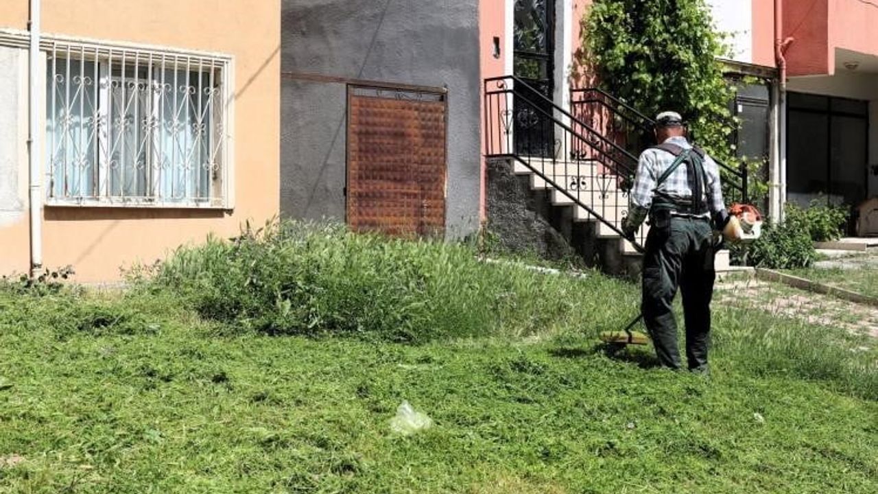 Söğüt’te çim biçme ve ilaçlama çalışmaları sürüyor