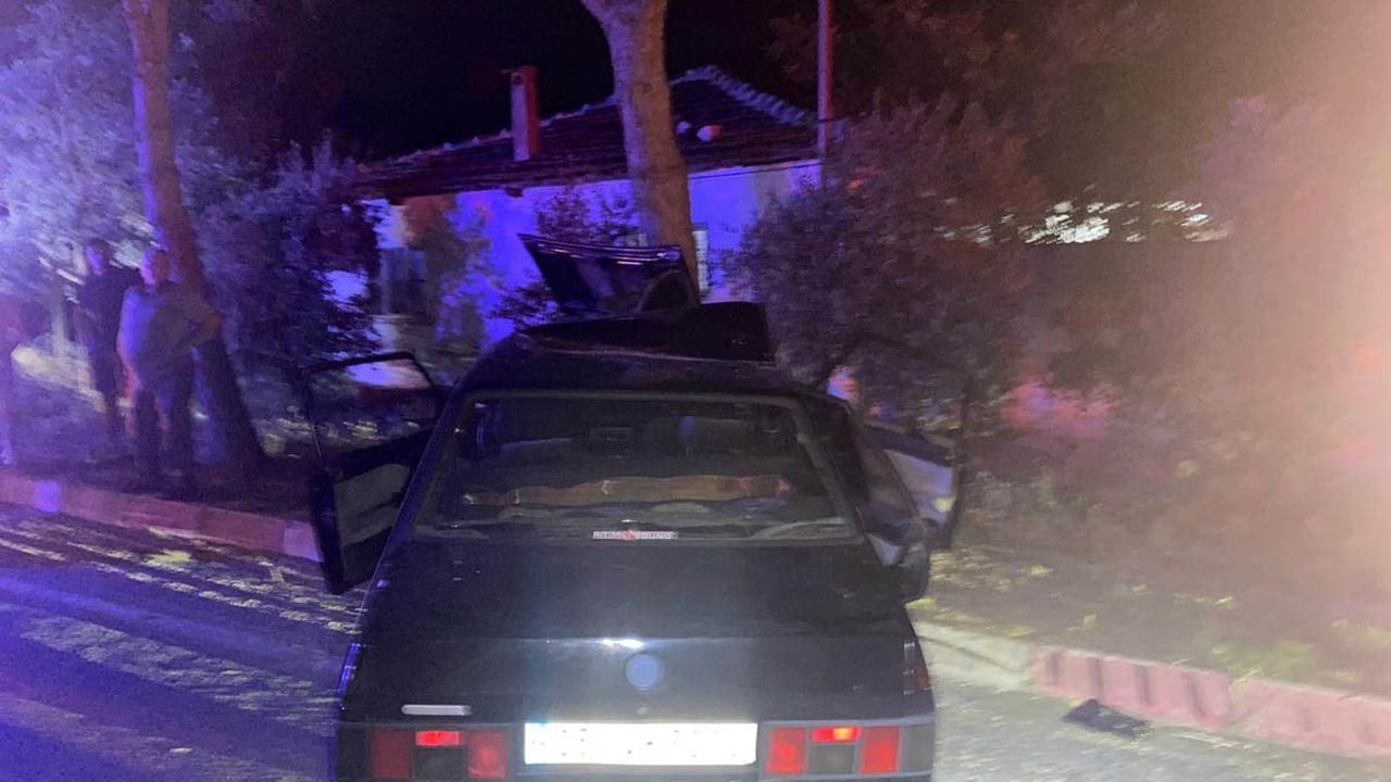 Sokak köpeğine çarpmamak için manevra yapan otomobil ağaca çarptı: 1’i ağır 2 yaralı