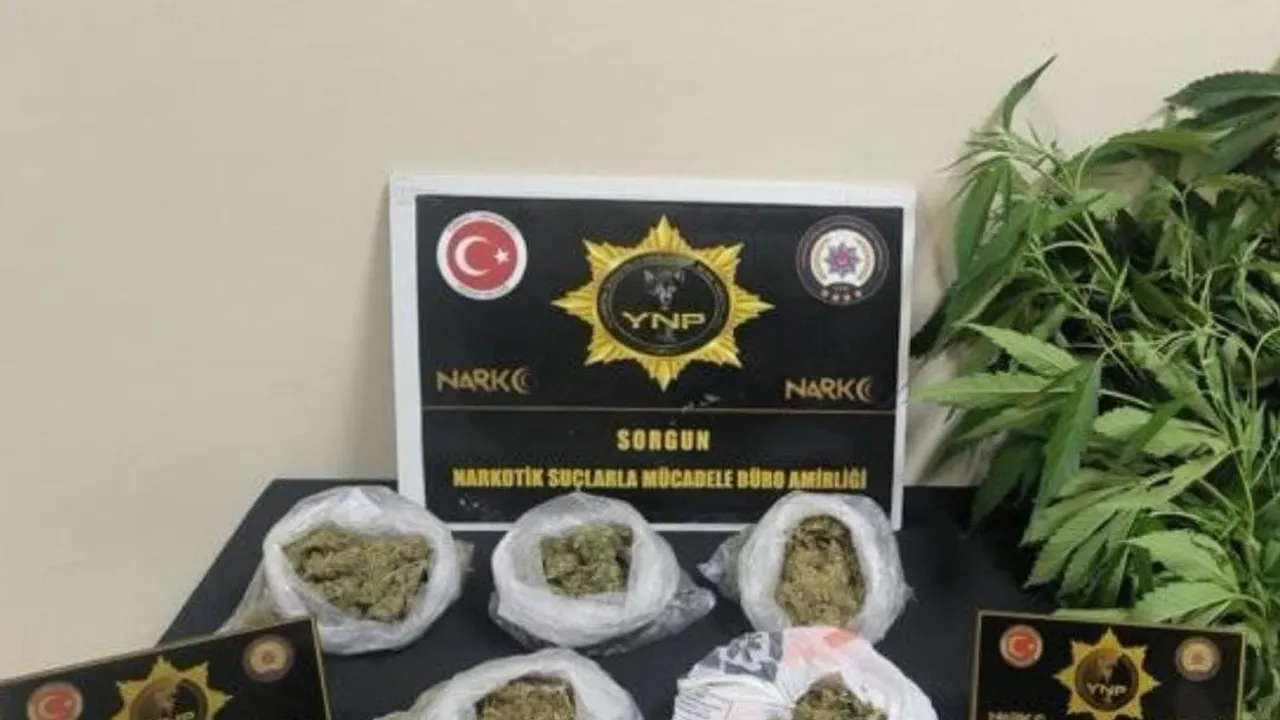 Sorgun'da düzenlenen operasyonda yüzlerce gram esrar ve kenevir ele geçirildi