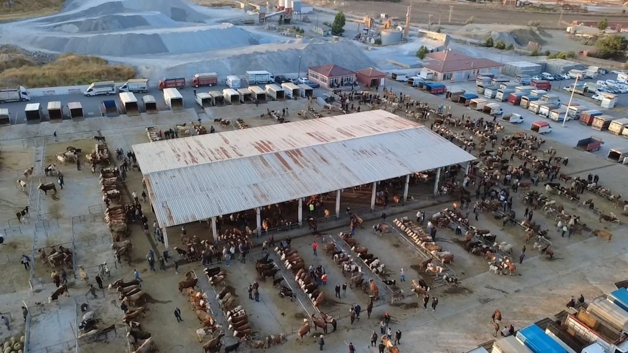 Sorgun'da hayvan pazarı sakinleşti, besiciler alım fırsatı görüyor