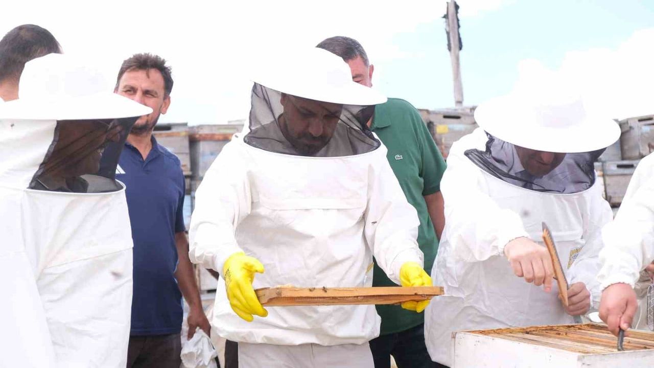 Sorgun’da sezonun ilk bal hasadı yapıldı, Sorfest 2026'da en iyi bal seçilecek