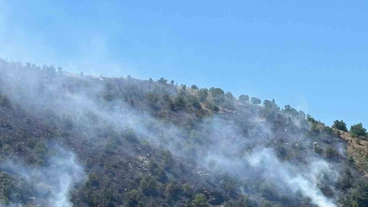 Sultanhisar yangını kontrol altına alındı