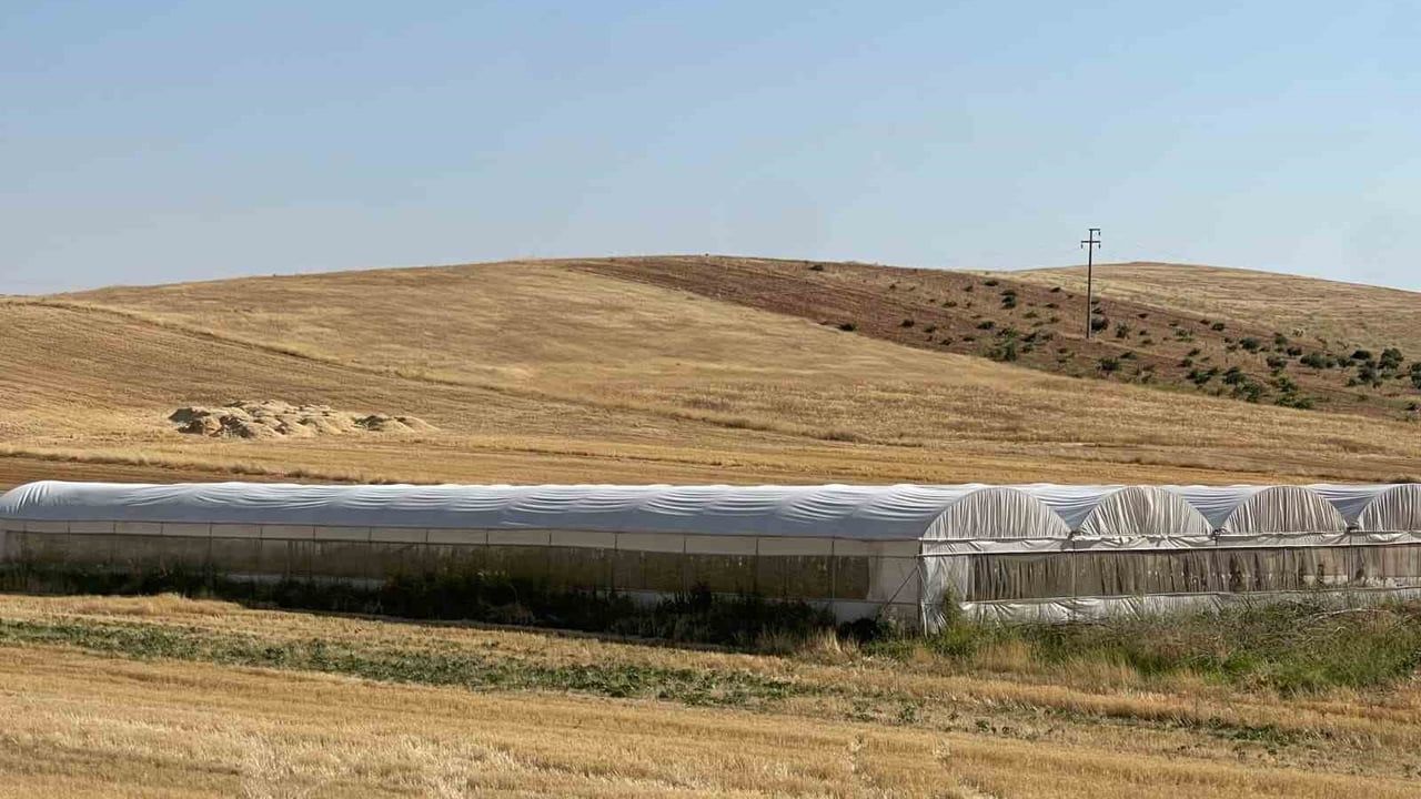 Sulu tarım mevsimlik tarım işçiliğini bitirdi
