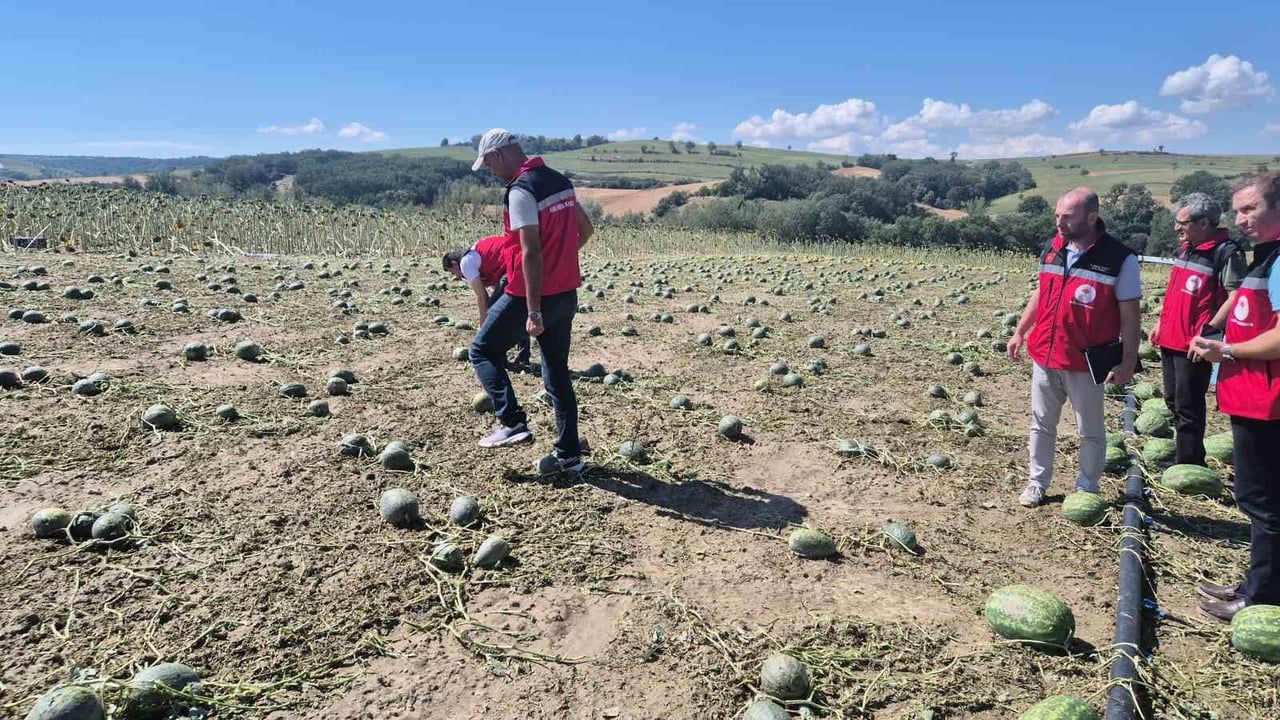 Süper hücre etkili oldu: Tekirdağ'da 4 köyde tarım zarar gördü
