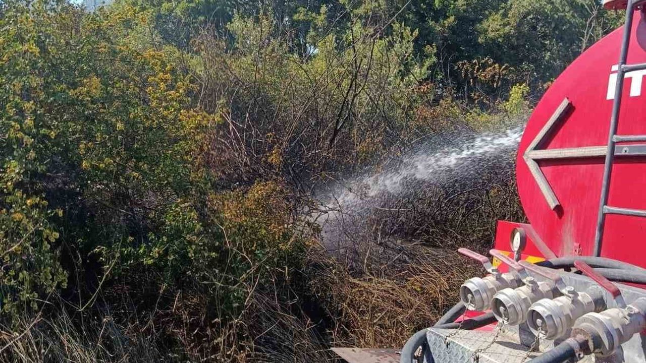 Susurluk'ta arazi ve koruluk yangını söndürüldü
