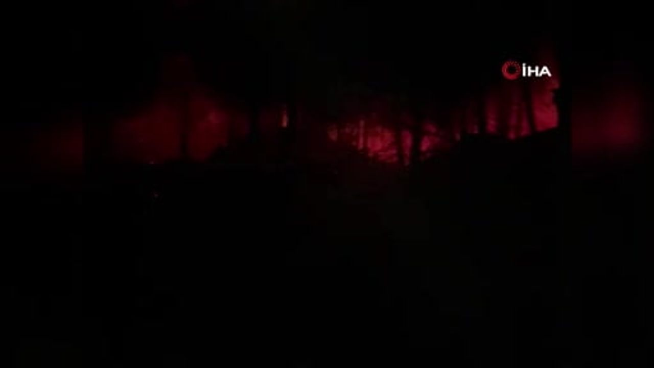 Susurluk'ta kaplıca çevresinde yangına kara ve havadan müdahale