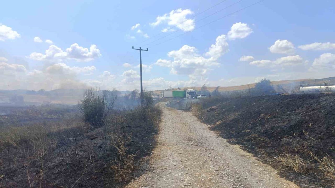 Susurluk'ta yol kenarındaki sazlıkta çıkan yangın kontrol altına alındı