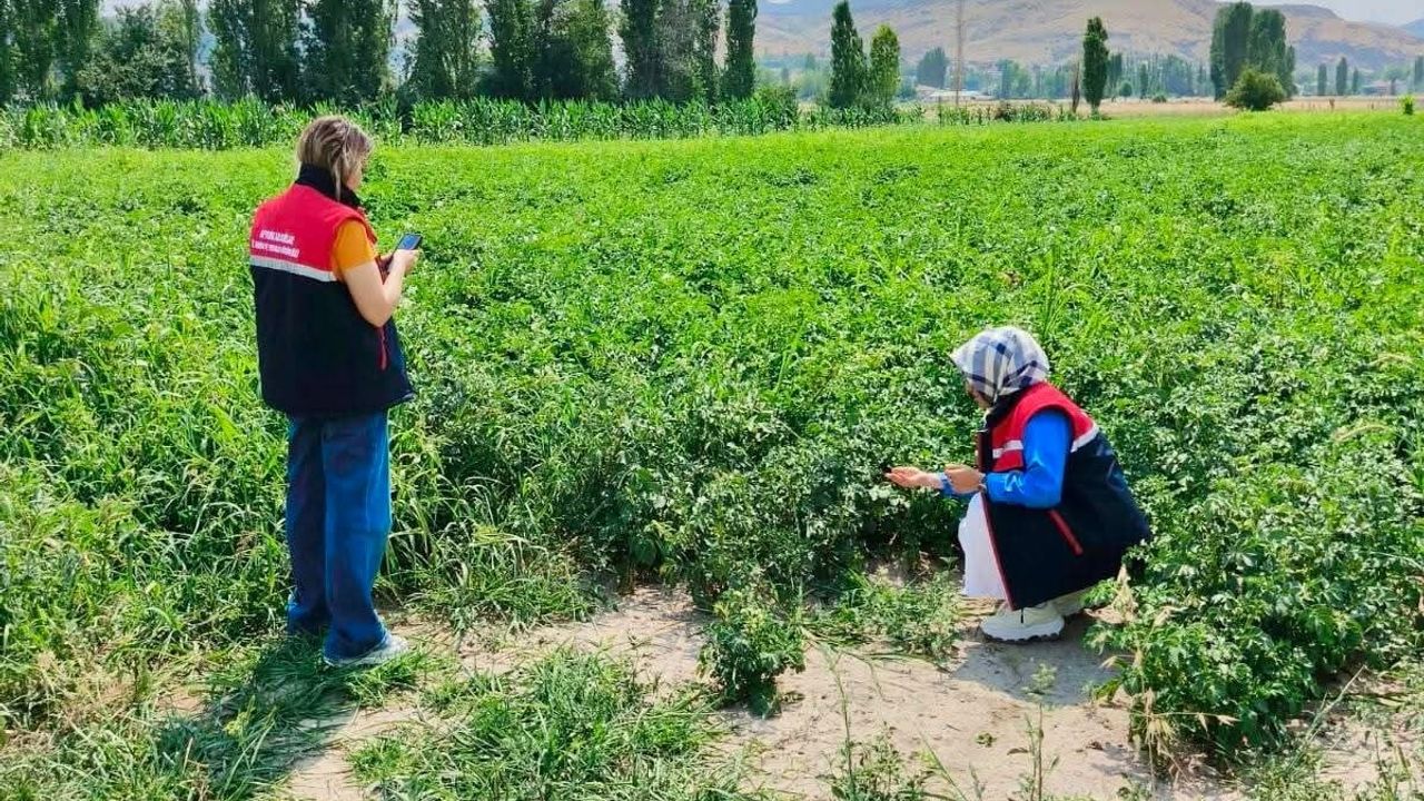 Tarım arazilerinin korunması için Afyonkarahisar'da saha denetimleri sürüyor