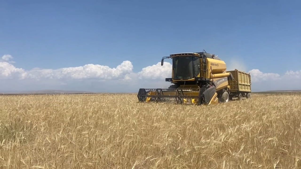 Tarımın kalbi Adilcevaz'da hasat sezonu başladı
