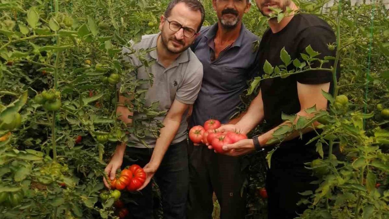 Tarımsal hibeden sahada uygulamaya: Kocaeli üreticisine yakın destek