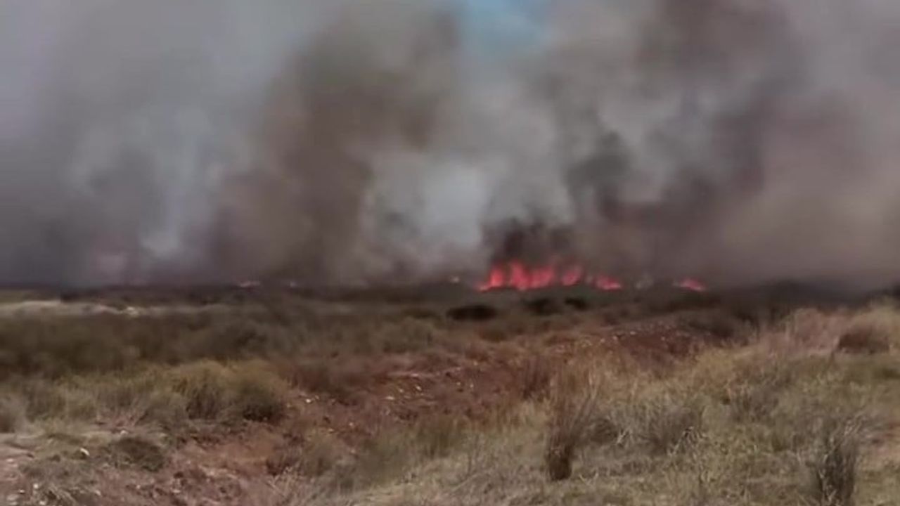 Tarlada başlayan yangın Yeniköy'de rüzgarın etkisiyle yayıldı
