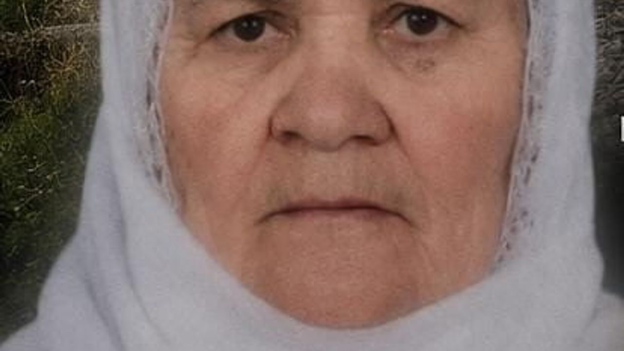 Tatvan'da yük treninin çarptığı 66 yaşındaki kadın hayatını kaybetti