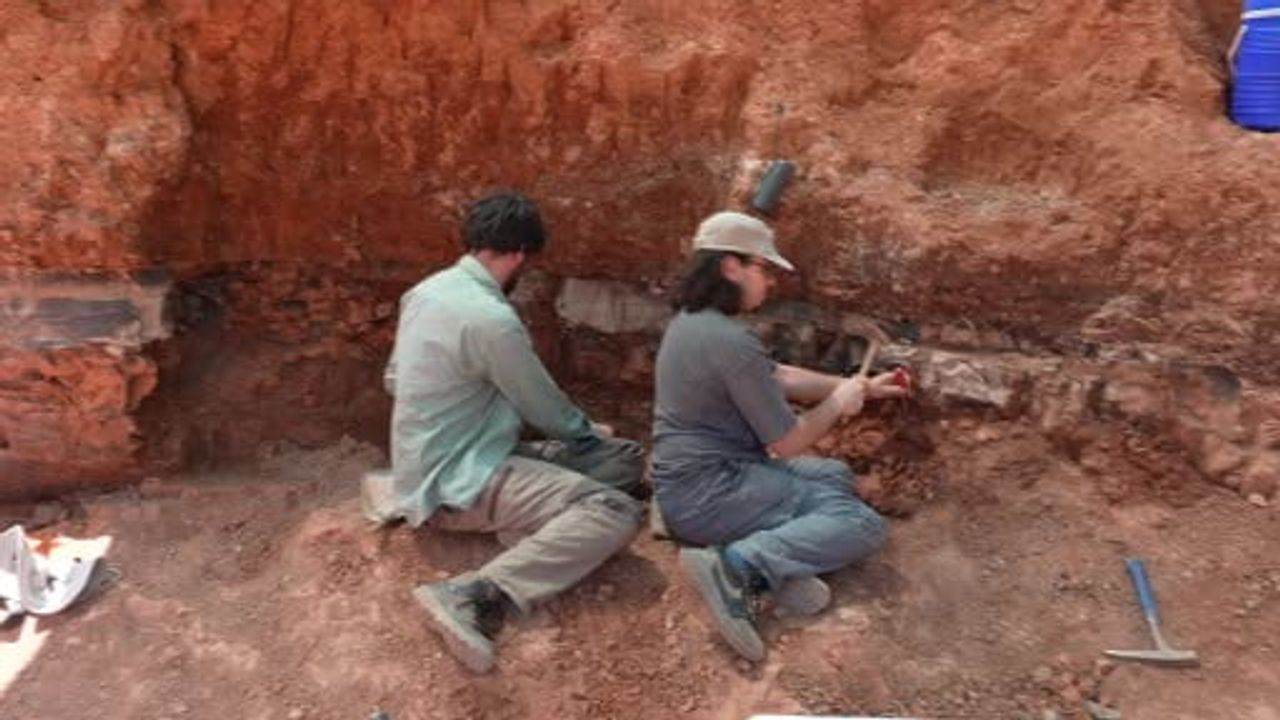 tavas kayaca’da milyonlarca yıllık ekosistemin izleri gün yüzüne çıkıyor