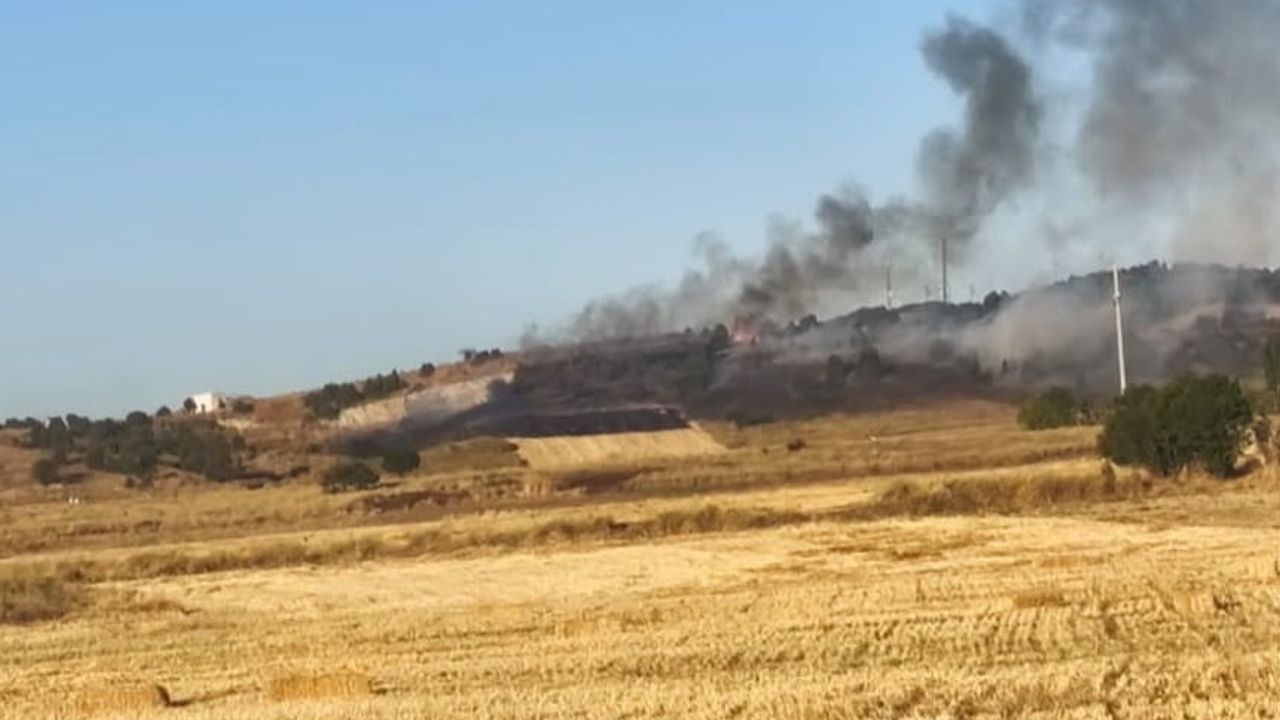 Tavşanlı'da ekiplerin koordineli müdahalesi ormanı kısa sürede kurtardı