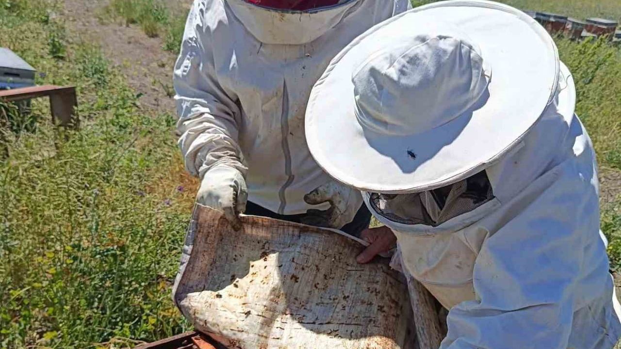 Tavşanlı’da gezginci arıcılık işletmeleri ziyaret edildi