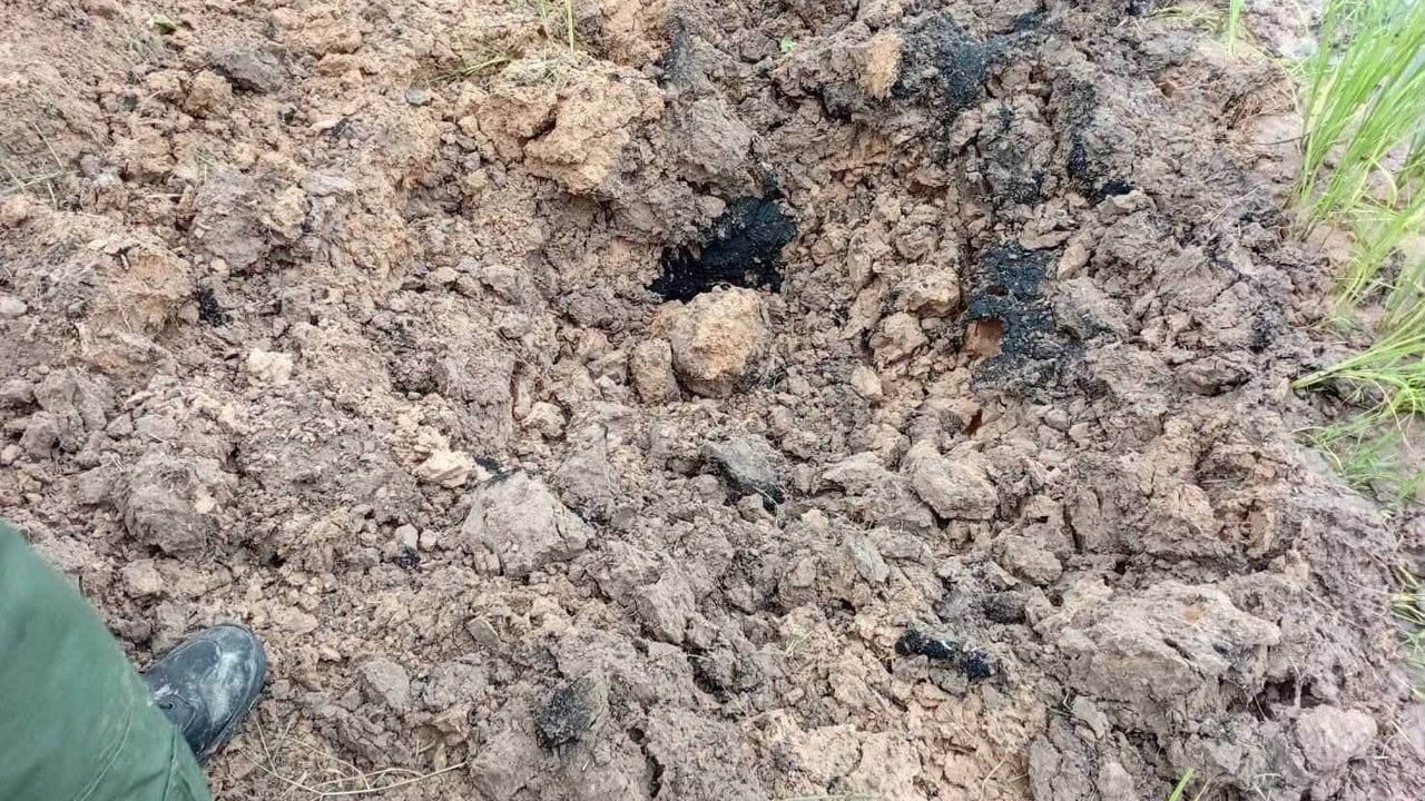 Tayland’da evcil köpek eve el bombası getirdi