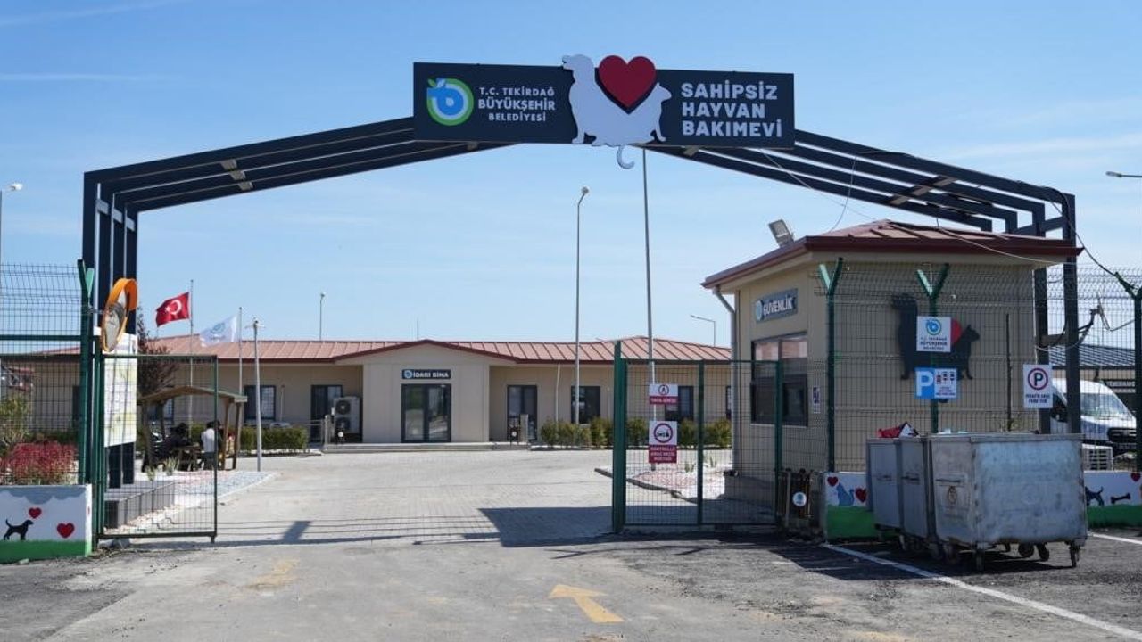 Tekirdağ’da 5 binden fazla sahipsiz hayvana umut oldular