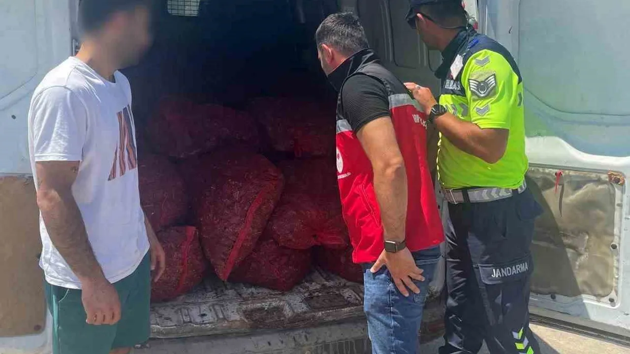 Tekirdağ’da 700 kilogram kaçak midye ele geçirildi