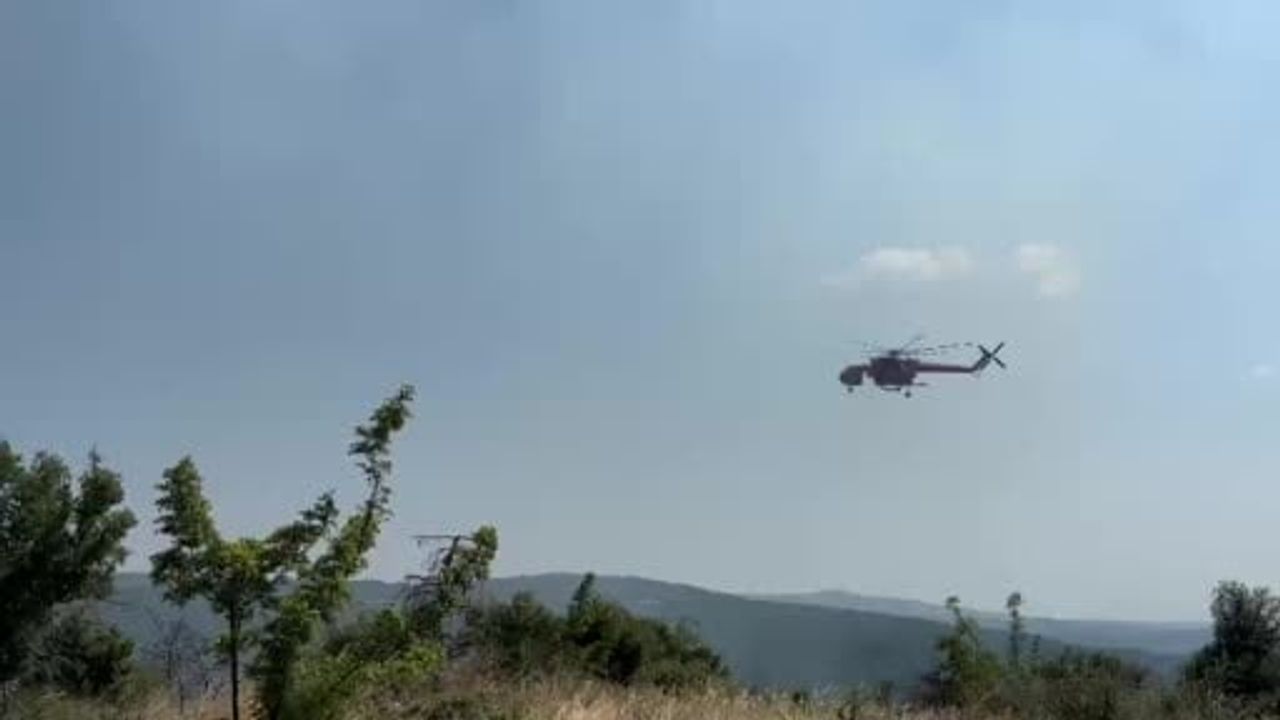 Tekirdağ’da anız yangını ormana sıçradı: havadan ve karadan müdahaleyle kontrol altına alındı