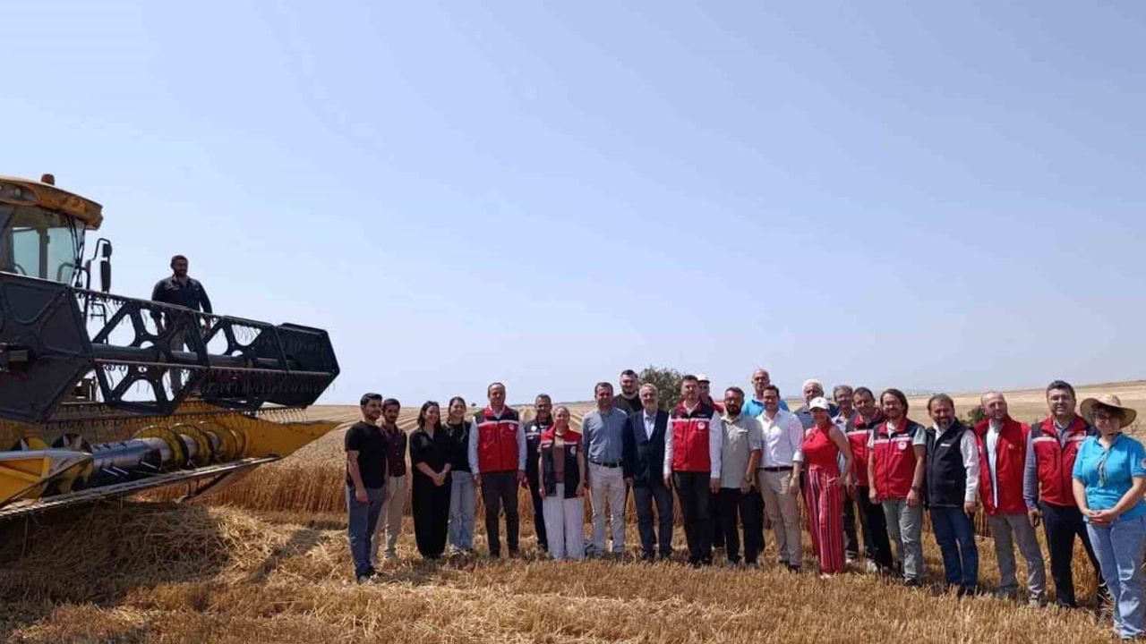 Tekirdağ’da bitkisel yağ üretiminde gıda güvenliği değerlendirildi