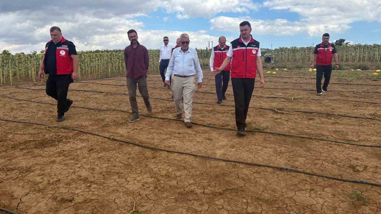 Tekirdağ'da dolu sonrası sahada hasar tespiti ve üretici görüşmeleri