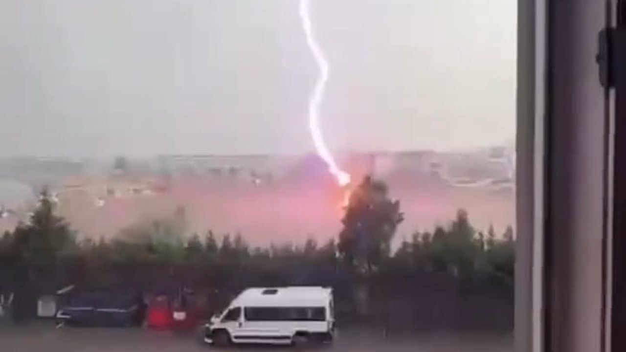 Tekirdağ’da palmiye ağacına yıldırım isabet etti