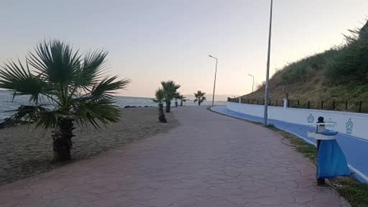 Tekirdağ sahili sıcak havada sessizliğe büründü: sahilin yeni sahipleri kediler oldu