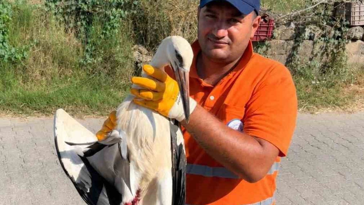 Temizlik personelinin duyarlılığı yaralı leyleğe umut oldu