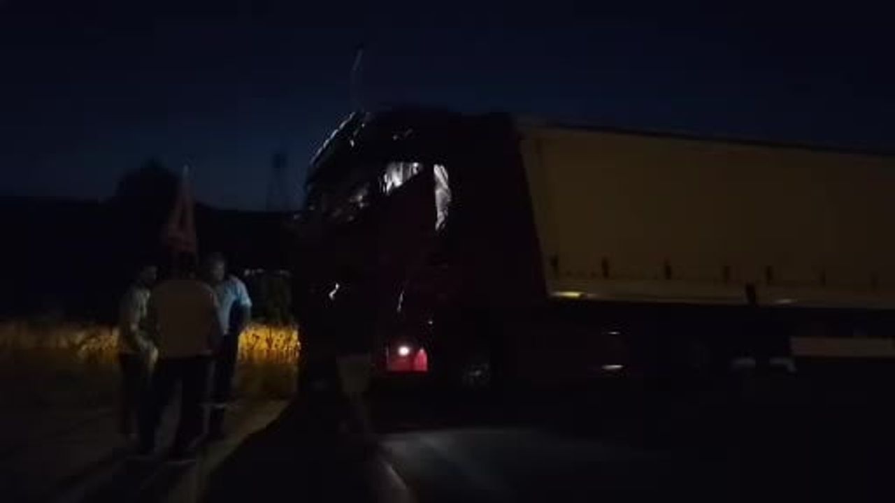 Tır köpek sürüsüne çarpmamak için manevra yapınca yoldan çıktı
