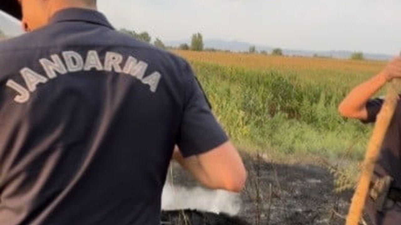 Tır lastiği yangını tarlaya sıçramadan söndürüldü