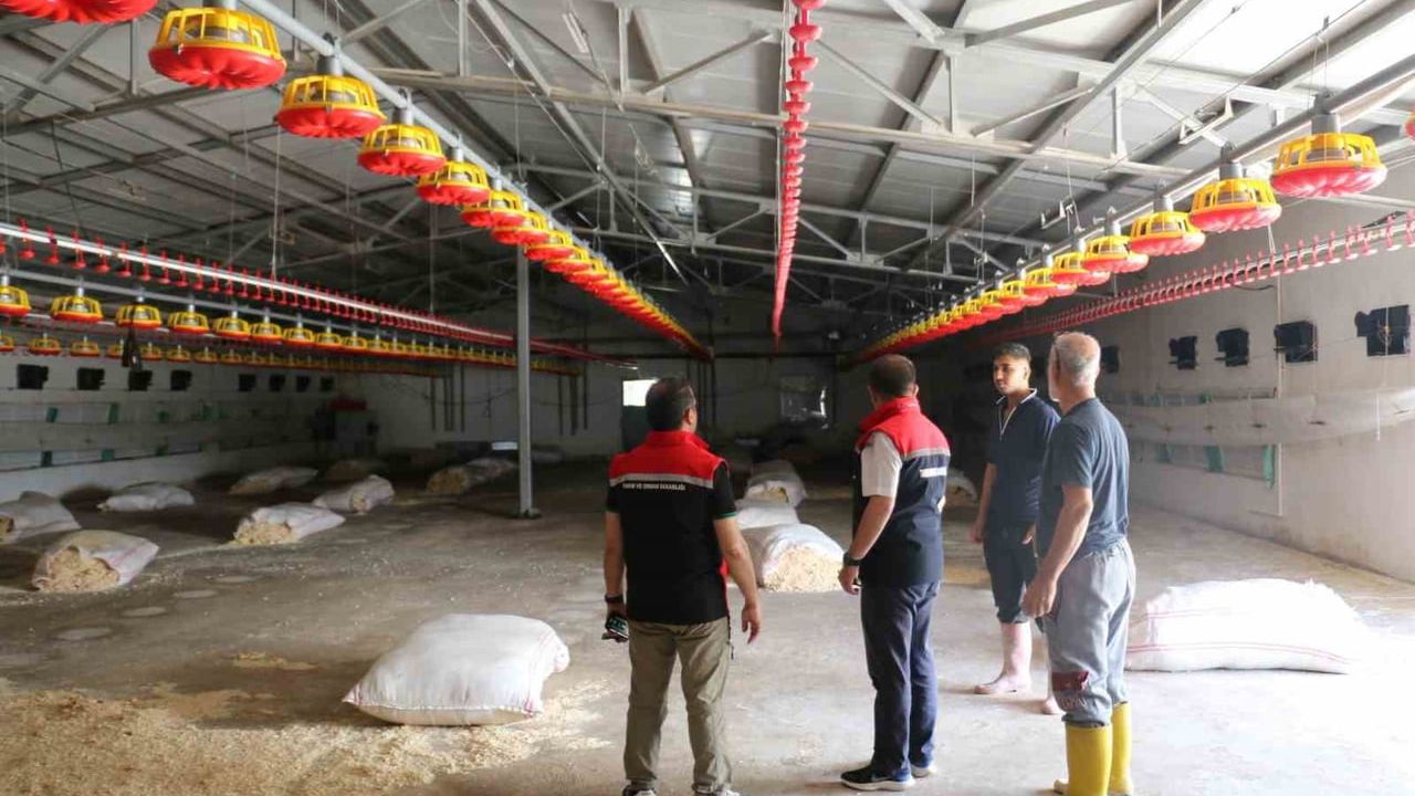 TKDK hibesiyle kurulan 18 bin baş kapasiteli broiler işletmesi yerinde incelendi