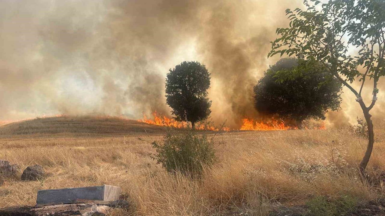 Trafo patlaması Gölbaşı'nda 1 hektarlık ağaçlık alanı yok etti