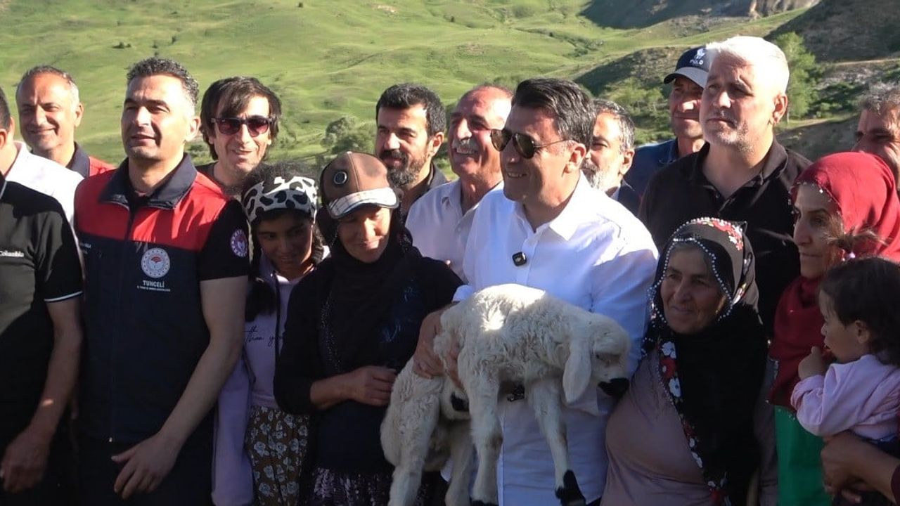 Tunceli'de birlik modeliyle yayla kullanımında hayvan başına yaklaşık 30 TL