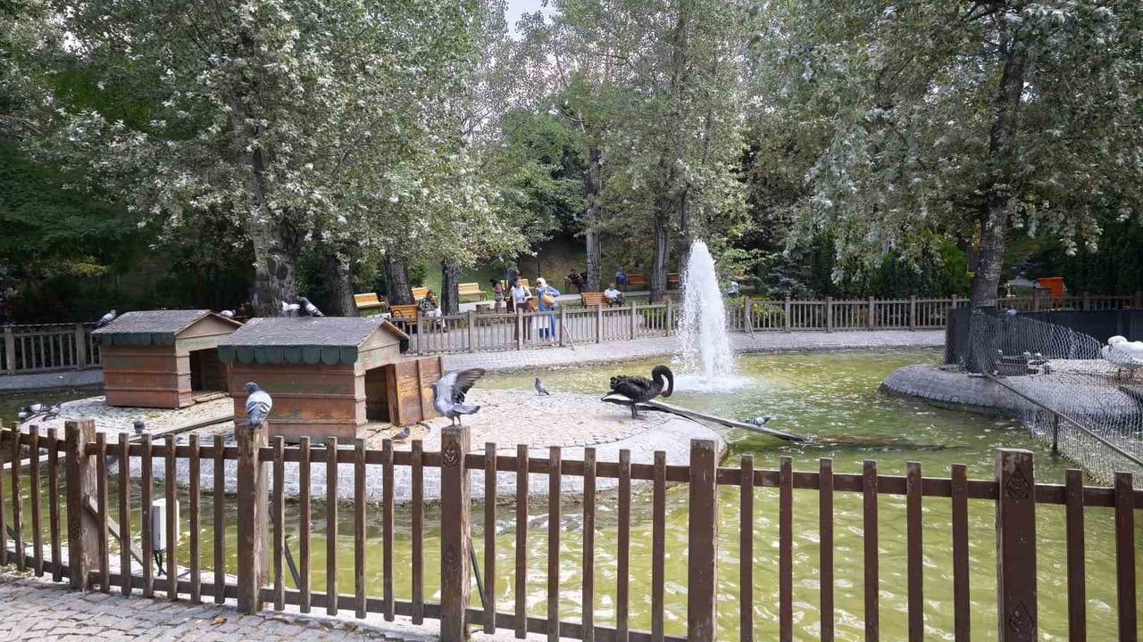 Türkiye genelinde hafta sonu yağış bekleniyor