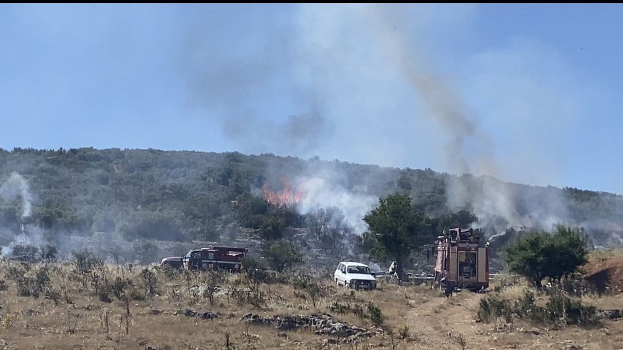 Tütsü kıvılcımları ormanda yangın çıkardı, müdahaleyi arı saldırısı zorlaştırdı