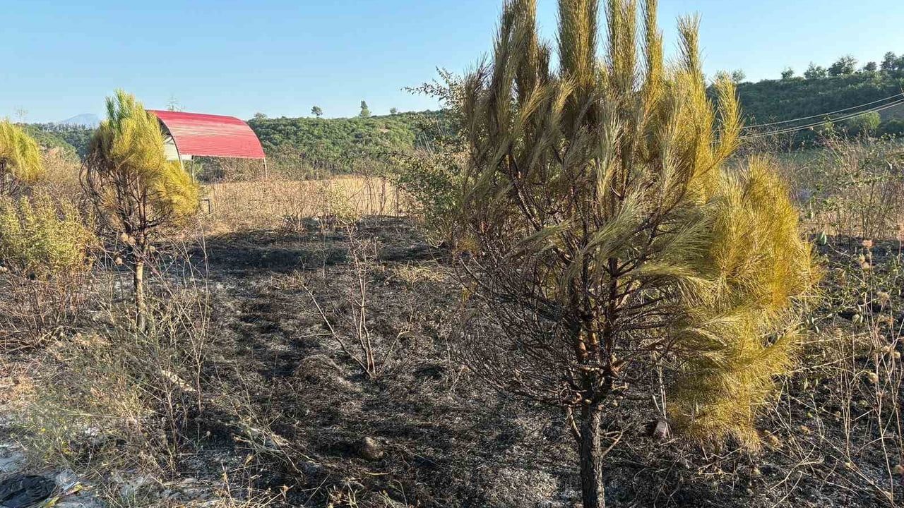 Üçgüllü Tepe'deki yangın hızlı müdahaleyle kontrol altına alındı