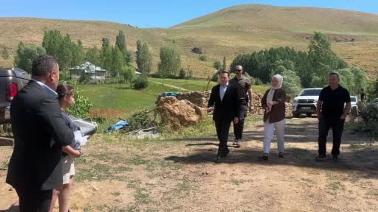 Uçurumdan düşen ineğin yerine 12 büyükbaş: Yüksekova'da dayanışma