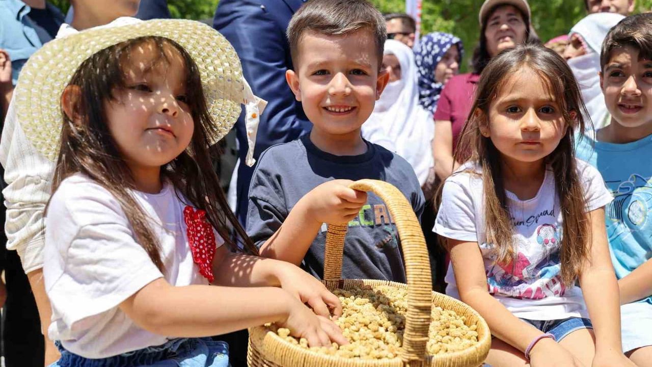 Ulukale dutunda bu yıl yaklaşık 650 ton rekolte bekleniyor