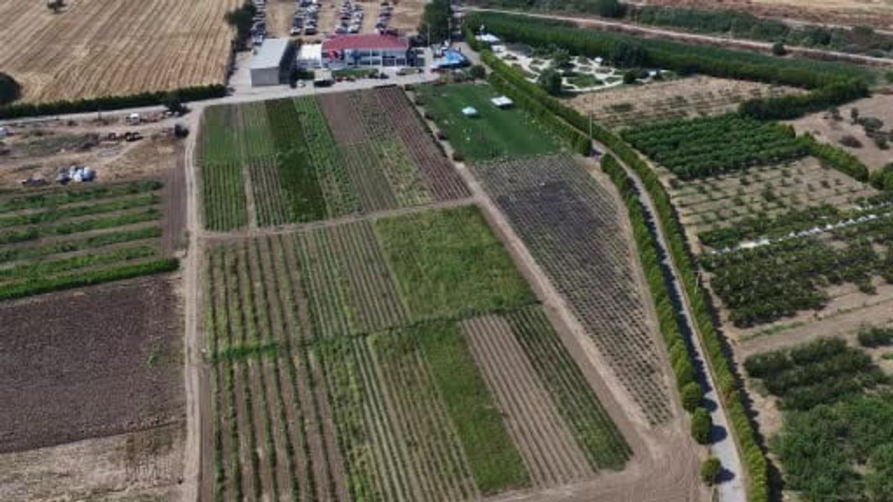 Uluslararası 7. Balıkesir aromaterapi festivali katılımcıları ağırladı