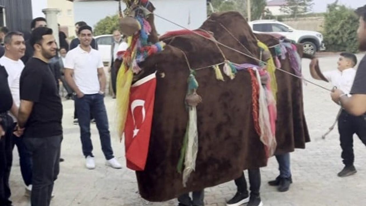 Unutulmaya yüz tutan Türkmen geleneği Altınyayla'da canlandırıldı