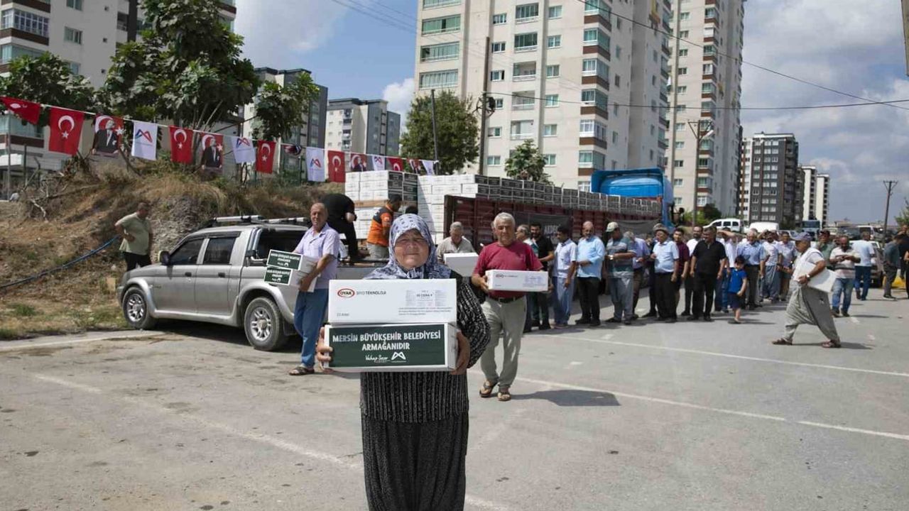 Üreticiyi koruyan destek: feromon tuzakları ve makine ekipmanları dağıtıldı
