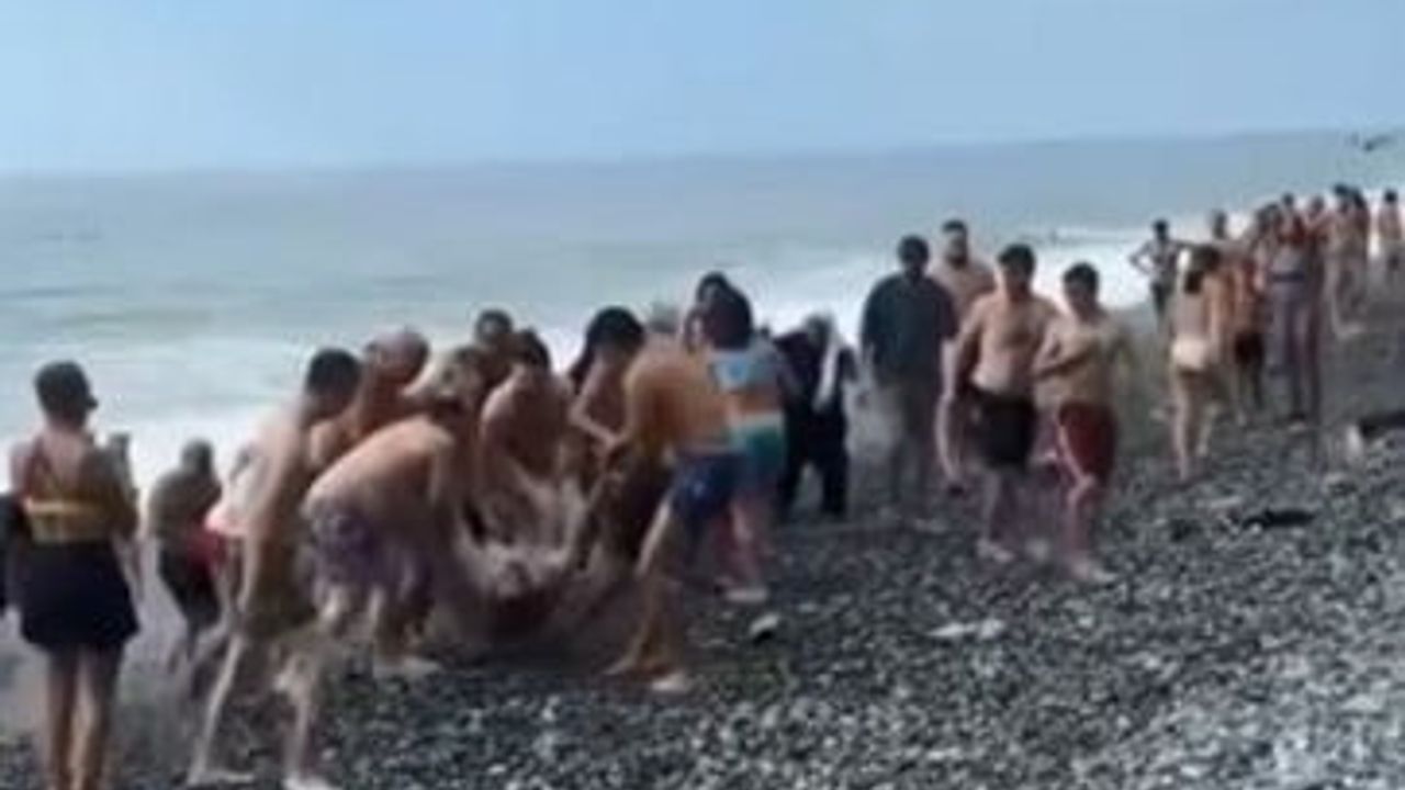 Uyarı sonrası Artvin kıyılarında beş kişi boğulma tehlikesi geçirdi