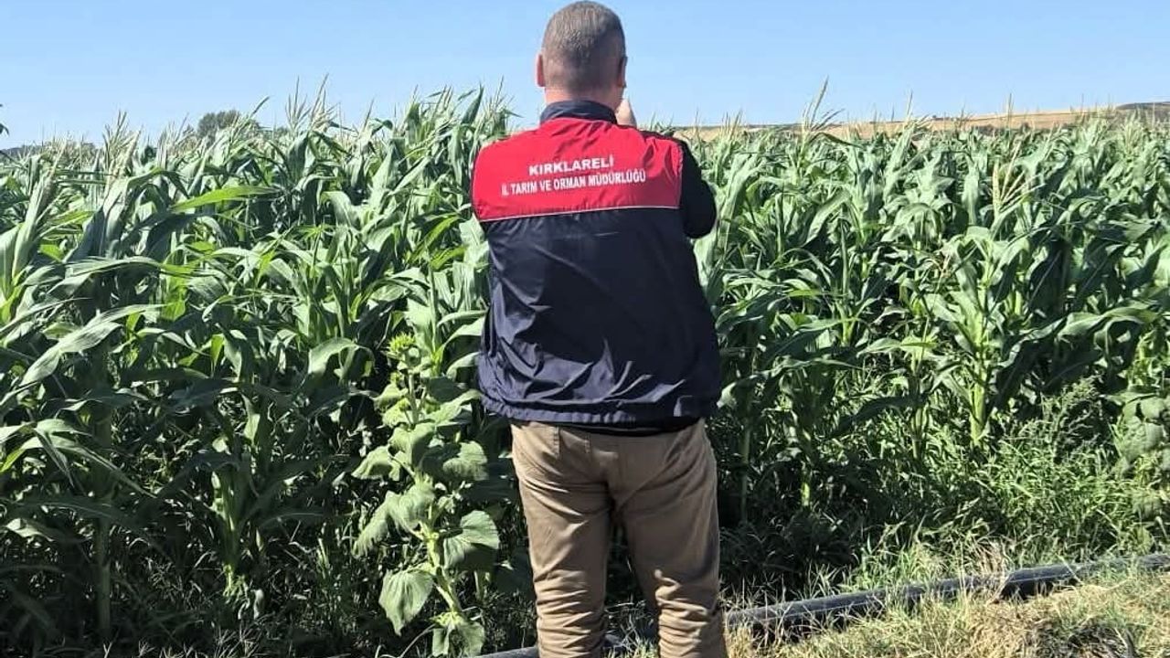 Uyduyla tespit saha ile doğrulama: Lüleburgaz'da parsel bazlı tarım envanteri çıkarılıyor